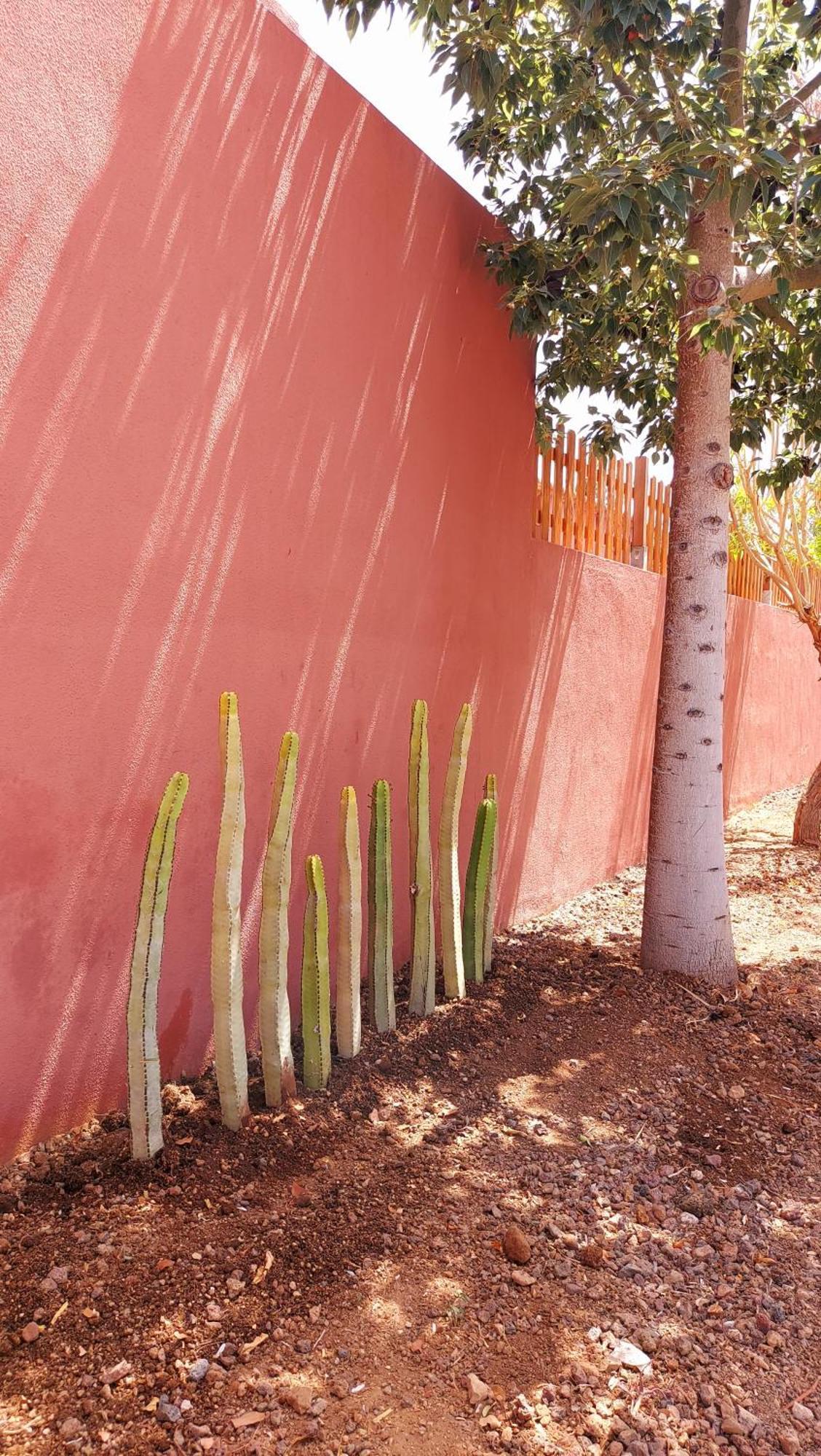 Adosado La Tabaiba San Miguel de Abona Exterior foto